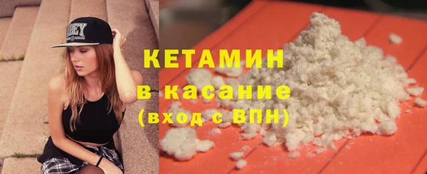 шишки Козельск