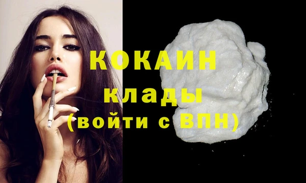 сатива Козловка