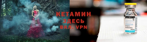 сатива Козловка