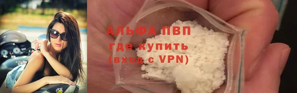 сатива Козловка