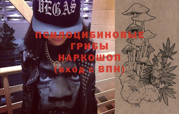 шишки Козельск