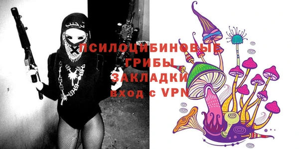 сатива Козловка