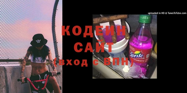 шишки Козельск