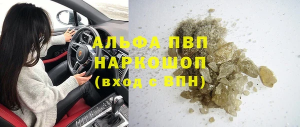 сатива Козловка