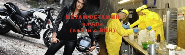 сатива Козловка