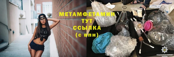 шишки Козельск