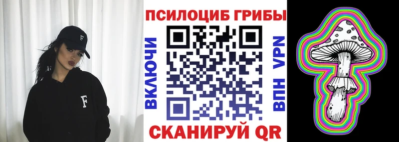 Псилоцибиновые грибы Psilocybine cubensis Купить Злынка